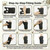Wrist Brace for Right Hand – Wrist Positioner for Proper Wrist Support & Control –Adjustable