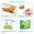 Sea Creatures Collection with Magnifier for Marine Biology Decor, Science Education & Ocean Lovers Gift