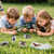 Classroom Science Education Animal Specimens, Bug Preserved, Oddities, Biology