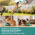 Teeth Cleaning, Mental Stimulation Training, Boredom Relief, Blue