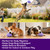 Teeth Cleaning, Mental Stimulation Training, Boredom Relief, Purple