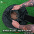 Training Workout Sandbag Fitness Sand Bag