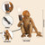Creative Desk Lighting Fixture,DecorativeLamps Living Room,Gold Monkey Light,Whimsical Design