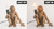 Creative Desk Lighting Fixture,DecorativeLamps Living Room,Gold Monkey Light,Whimsical Design