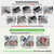 Sealer, Food Storage, Meal Prep, Food Preservation, Freezer Storage,