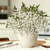 3 Pcs 43" Artificial Sedum Spray Stems
