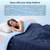 WDCOZY Cooling Comforter King Size, QMAX>0.4 Soft Blanket for Hot Sleepers