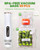Compact Vacuum Sealer for Food