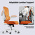 Lumbar Support, Mesh Computer Chair, Executive Chair for Home