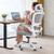 Ergonomic Desk Chair - Gaming Chair with Lumbar Support