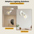 HiBay 1-Light Ceiling Track Lighting Fxiture White