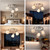 HiBay Adjustable 3-Light Ceiling Track Lighting Fixture with Glass Shade