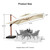 shade coverage, UPF 50+ sun protection, Braced frame hold