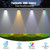 Waterproof Outdoor Lights for Pool | 10 Colors & RGB Changing