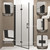 Glass Shower Doors in Walk-in Showers