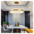 Chandeliers Indoor Chandelier Pendant Ceiling Light Modern Led Bedroom