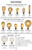 Reclaimed Wood Chandelier - 10 Pendant Light Unique Lighting Modern Chandelier
