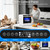 Countertop Dishwasher, Portable Dishwasher with 5L Built-in Water Tank