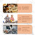 Countertop Dishwasher, 4 Wash Programs, 360° Bottom Spray, Dry Clean Function