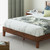 Zinus Vivek Deluxe Wood Platform Bed Frame with Headboard, King | Slatted Headboard, Wood Slat Support