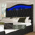 King Size Bed Frame and Headboard & 4 Storage Drawers, Black | Upholstered Platform Bed Frame with RGB LED Lights & Charging Station