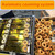 Automatic Mini Donut Maker Machine,Doughnut Maker,Temperature Control