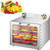 Food Dehydrator - Electric Dryer with Temperature Control & Transparent Window