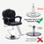 Barber Chair with Heavy Duty Hydraulic Pump, Salon Chair