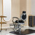 Chairs for Barbershop Beauty Tattoo Massage (Black-Silver)