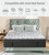 PECHINOU 14 Inch Queen Mattress, Medium Firm Hybrid Mattress in a Box