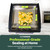 Sealer Machine for Foods, Soups & Liquids | Premium Vacuum Food Sealer w/Glass Lid