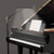 BenQ PianoLight Grand, LED Piano Floor Lamp for Grand, Upright & Digital Pianos, Wide & Even Illumination