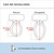 Lotus Bidet ATS-909 Round with Enema Wash (Purestream)