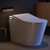 Smart Toilet with Bidet Built-in, Dual Nozzle Feminine Wash & Rear Wash,