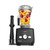 Professional-Grade Blender, 10 Programs, Graphite