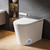 Open/Close Lid, Heated Seat, Dryer, Night Light, Dual Auto Flush, Foot