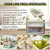 Manual Sugar Cane Juicer Machine - Hand Crank Press
