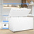 Large Chest Freezer 20 Cu Ft, Deep Freezer