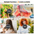 SyyBhb Wall Mounted Hooded Hair Dryer for Salon & Home