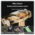 Rechargeable Dual‑Head Mini Percussion Fascia Gun Rechargeable Dual‑Head Mini Fascia Gun, Deep‑Tissue Percussion