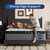 BedStory Medium Firm Queen Mattress 14 Inch, Deep Sleep Hybrid Mattresses 7-Zone Pain Relief