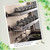 Over The Sink Dish Drying Rack - Space-Saving Wall-Mounted