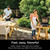 Outdoor Grill & Smoker, 7-in-1 Master Grill