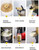 Juice Extractor Machine for Whole Fruits and Vegetables