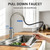 FEELSO Kitchen Faucet with Pull Down Sprayer Stainless Steel Brushed Nickel