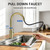 FEELSO Kitchen Faucet with Pull Down Sprayer Stainless Steel Golden