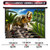 Motorized Projector Screen - Indoor and Outdoor Movies Screen Electric Projector Screen W/Remote Control (120 inch)