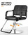Artist hand Hydraulic Barber Chair Salon Chair for Hair Stylist