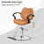 OmySalon Salon Chair for Hair Stylist, Camel Barber Chair for Barbershop/Home, Hydraulic Stylist Chair with Footrest, Hairdressing Beauty Spa Braiding Equipment