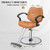 OmySalon Salon Chair for Hair Stylist, Camel Barber Chair for Barbershop/Home, Hydraulic Stylist Chair with Footrest, Hairdressing Beauty Spa Braiding Equipment
